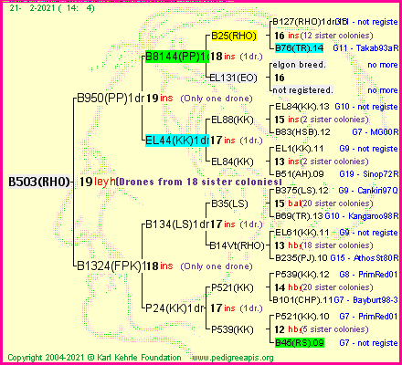 Pedigree of B503(RHO) :
four generations presented
it's temporarily unavailable, sorry!