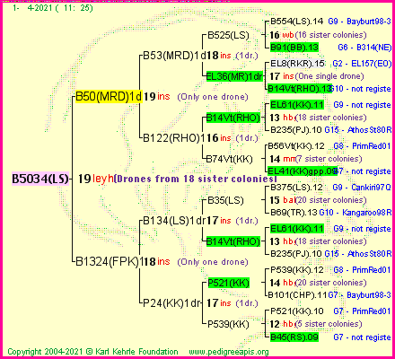 Pedigree of B5034(LS) :
four generations presented
it's temporarily unavailable, sorry!