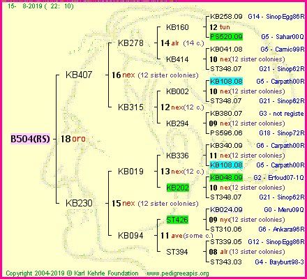 Pedigree of B504(RS) :
four generations presented<br />it's temporarily unavailable, sorry!