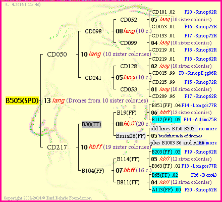 Pedigree of B505(SPD) :
four generations presented