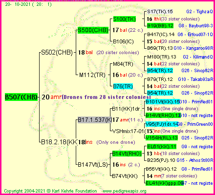 Pedigree of B507(CHB) :
four generations presented
it's temporarily unavailable, sorry!