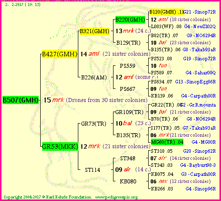 Pedigree of B507(GMH) :
four generations presented