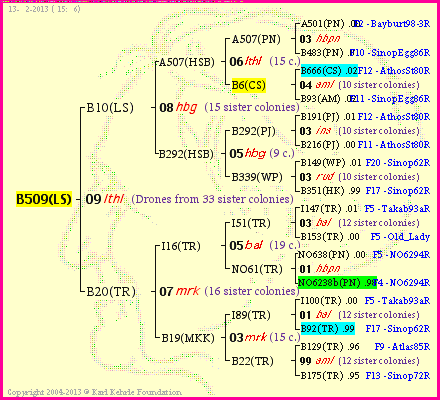 Pedigree of B509(LS) :
four generations presented