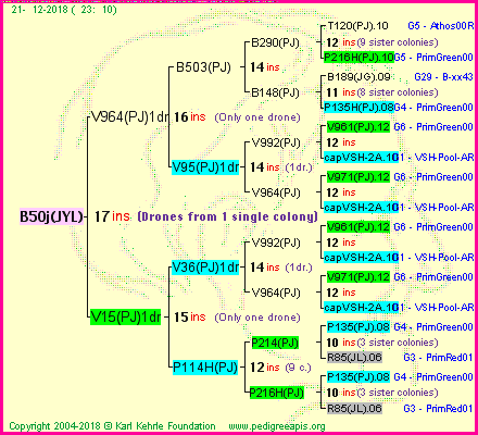 Pedigree of B50j(JYL) :
four generations presented
it's temporarily unavailable, sorry!