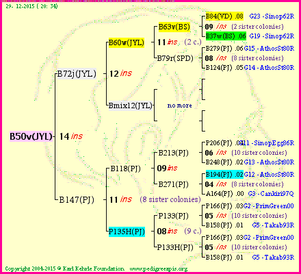 Pedigree of B50v(JYL) :
four generations presented