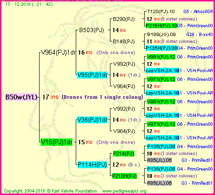 Pedigree of B50w(JYL) :
four generations presented<br />it's temporarily unavailable, sorry!