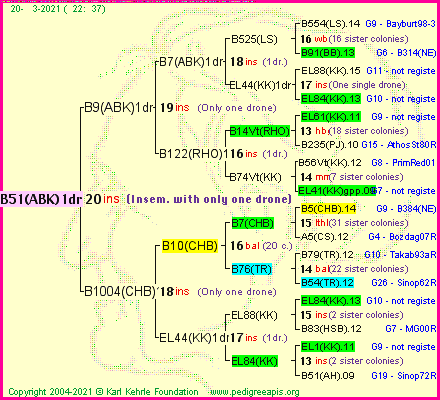 Pedigree of B51(ABK)1dr :
four generations presented
it's temporarily unavailable, sorry!