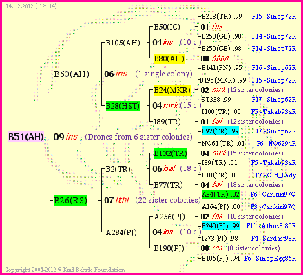 Pedigree of B51(AH) :
four generations presented