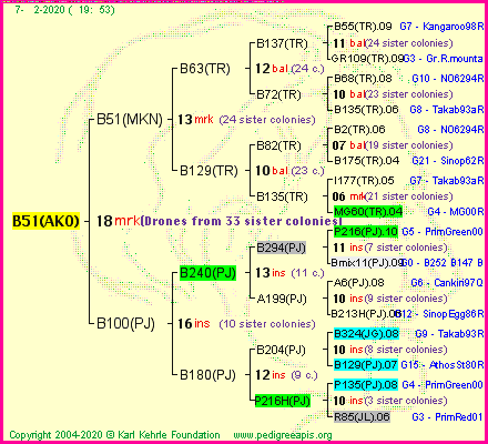 Pedigree of B51(AKO) :
four generations presented
it's temporarily unavailable, sorry!