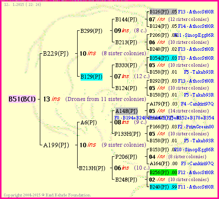 Pedigree of B51(BCI) :
four generations presented