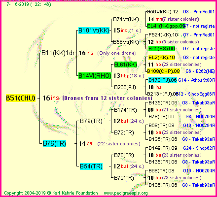 Pedigree of B51(CHU) :
four generations presented<br />it's temporarily unavailable, sorry!