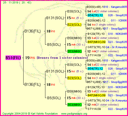 Pedigree of B51(FIL) :
four generations presented<br />it's temporarily unavailable, sorry!