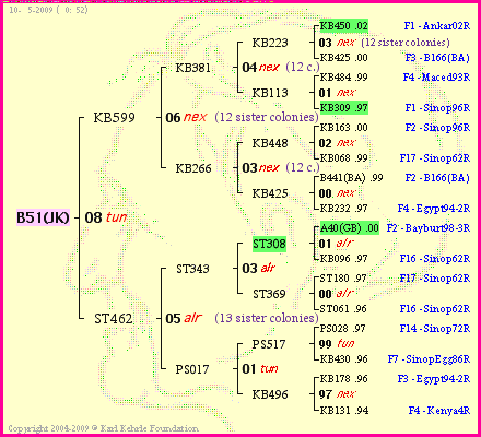 Pedigree of B51(JK) :
four generations presented