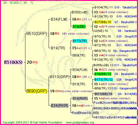 Pedigree of B51(KKS) :
four generations presented
it's temporarily unavailable, sorry!