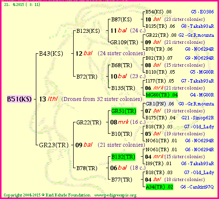 Pedigree of B51(KS) :
four generations presented