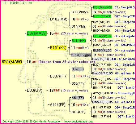 Pedigree of B51(MAW) :
four generations presented
temporarily unavailable ... sorry