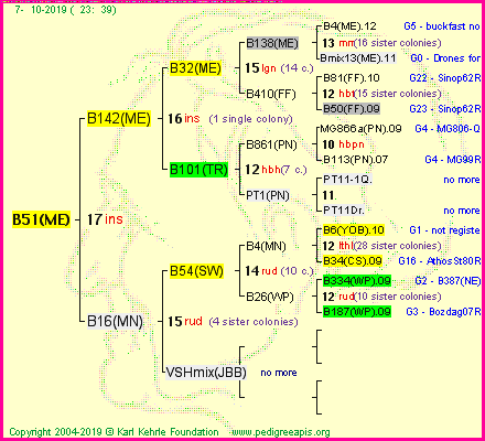 Pedigree of B51(ME) :
four generations presented<br />it's temporarily unavailable, sorry!