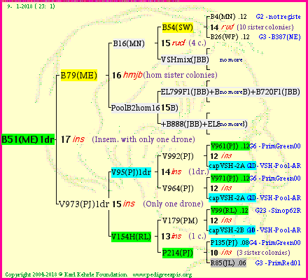 Pedigree of B51(ME)1dr :
four generations presented<br />it's temporarily unavailable, sorry!