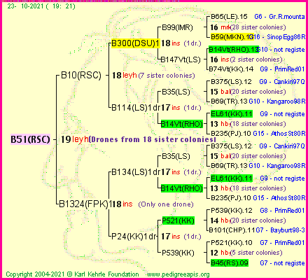 Pedigree of B51(RSC) :
four generations presented
it's temporarily unavailable, sorry!