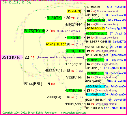 Pedigree of B51(TK)1dr :
four generations presented
it's temporarily unavailable, sorry!