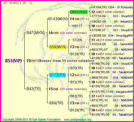 Pedigree of B51(VIP) :
four generations presented
it's temporarily unavailable, sorry!