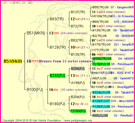 Pedigree of B51(VKO) :
four generations presented<br />it's temporarily unavailable, sorry!