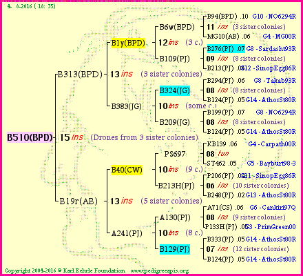 Pedigree of B510(BPD) :
four generations presented