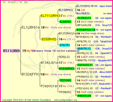 Pedigree of B511(JBH) :
four generations presented
it's temporarily unavailable, sorry!