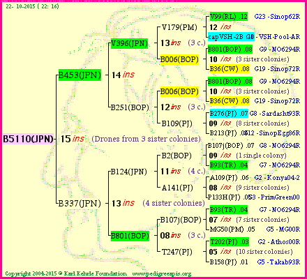 Pedigree of B5110(JPN) :
four generations presented