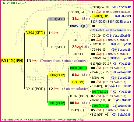 Pedigree of B5115(JPN) :
four generations presented