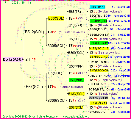 Pedigree of B512(ASO) :
four generations presented
it's temporarily unavailable, sorry!