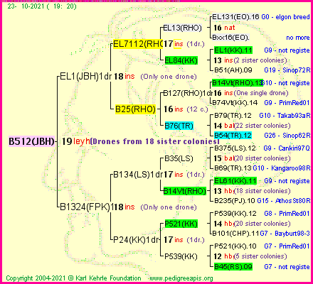 Pedigree of B512(JBH) :
four generations presented
it's temporarily unavailable, sorry!