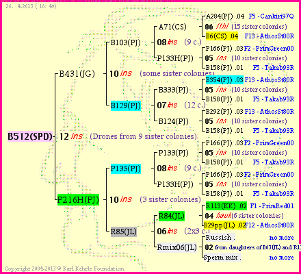 Pedigree of B512(SPD) :
four generations presented