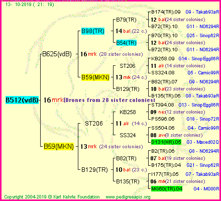 Pedigree of B512(vdB) :
four generations presented
it's temporarily unavailable, sorry!