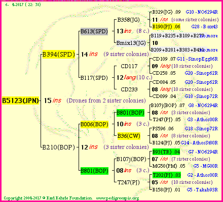 Pedigree of B5123(JPN) :
four generations presented<br />it's temporarily unavailable, sorry!