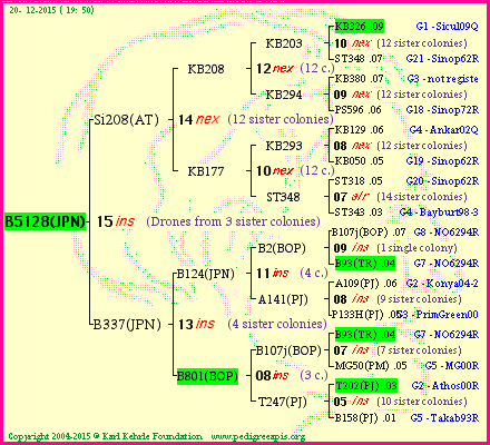 Pedigree of B5128(JPN) :
four generations presented<br />it's temporarily unavailable, sorry!