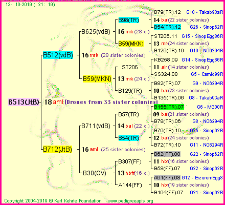 Pedigree of B513(JtB) :
four generations presented<br />it's temporarily unavailable, sorry!