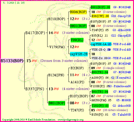 Pedigree of B5133(BOP) :
four generations presented<br />it's temporarily unavailable, sorry!