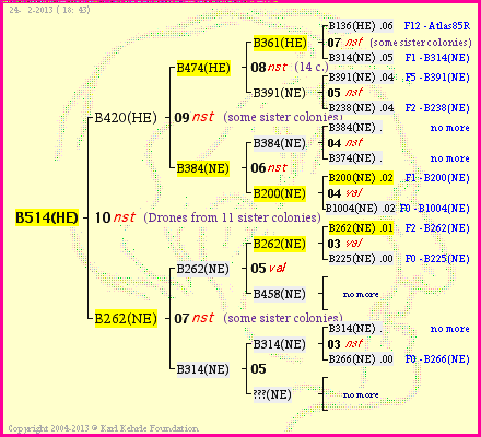 Pedigree of B514(HE) :
four generations presented