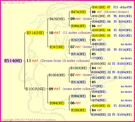 Pedigree of B514(HE) :
four generations presented