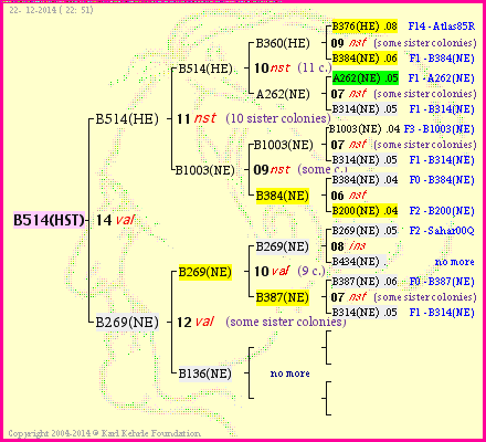 Pedigree of B514(HST) :
four generations presented