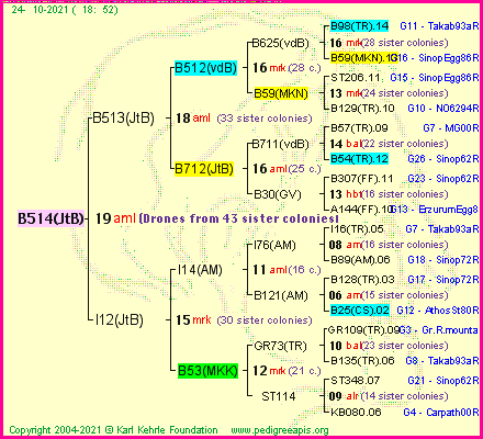 Pedigree of B514(JtB) :
four generations presented
it's temporarily unavailable, sorry!