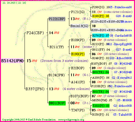 Pedigree of B5142(JPN) :
four generations presented