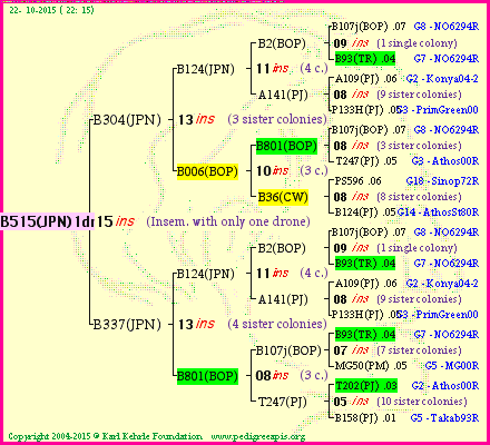 Pedigree of B515(JPN)1dr :
four generations presented