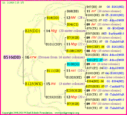 Pedigree of B516(DD) :
four generations presented<br />it's temporarily unavailable, sorry!