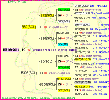 Pedigree of B516(SOL) :
four generations presented
it's temporarily unavailable, sorry!