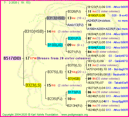 Pedigree of B517(DD) :
four generations presented<br />it's temporarily unavailable, sorry!