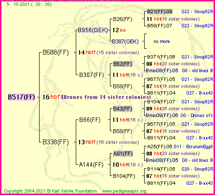 Pedigree of B517(FF) :
four generations presented
it's temporarily unavailable, sorry!