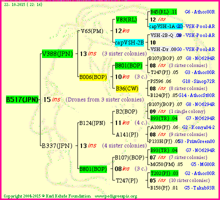 Pedigree of B517(JPN) :
four generations presented