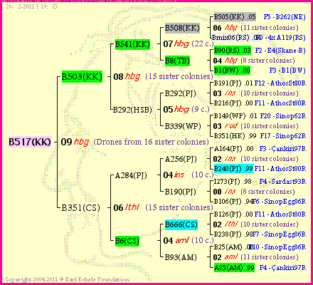 Pedigree of B517(KK) :
four generations presented